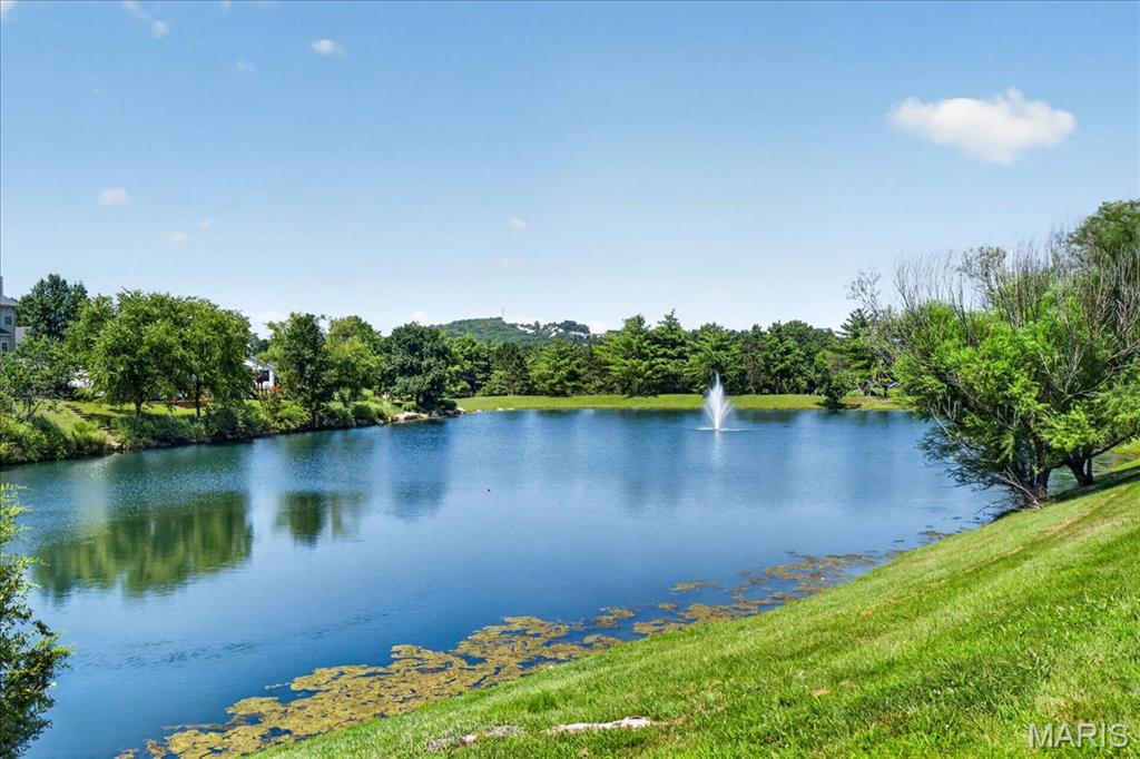59th image of 560 Legends View Dr, Eureka, MO 63025 | MLS# MIS26048150