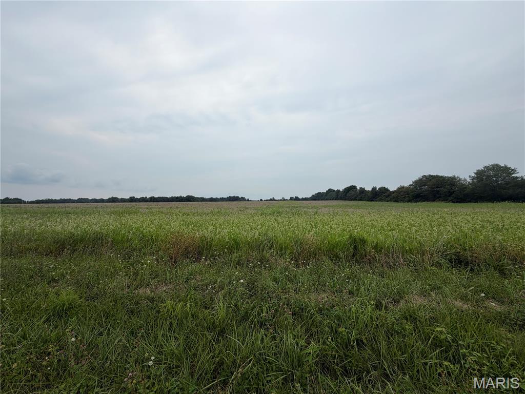 3rd image of 6269 Acres Hickory Lick Rd, Wright City, MO 63390 | MLS# MIS26048470