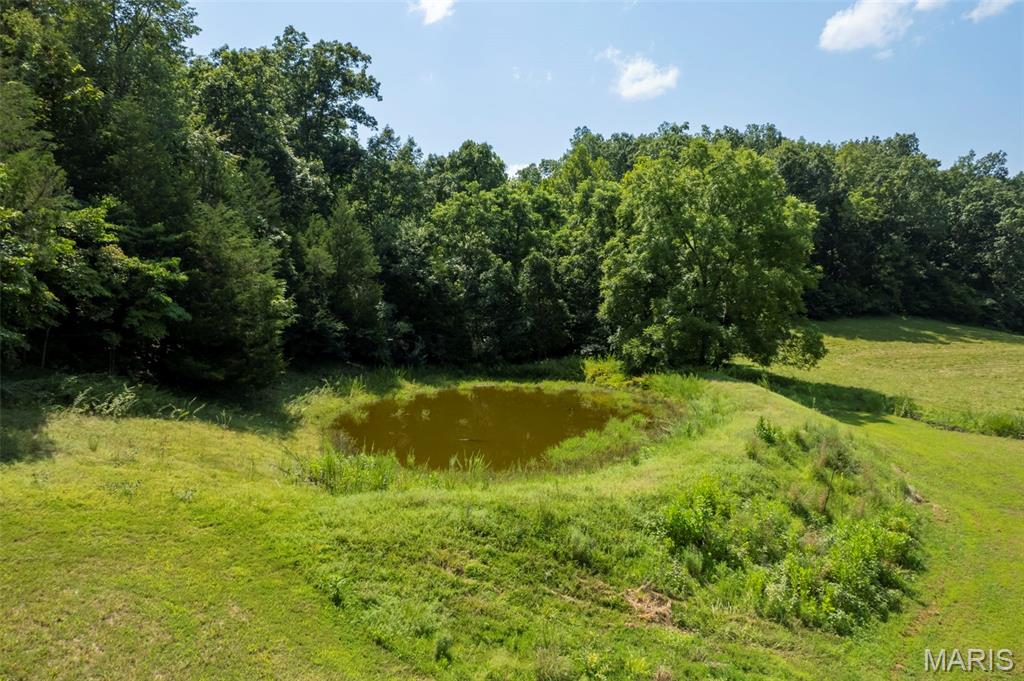 4th image of Tbd County Road 445A, Redford, MO 63665 | MLS# MIS26048587