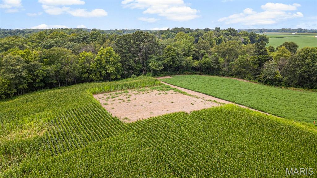 5th image of 4145 Levy Ln, Millstadt, IL 62260 | MLS# MIS26048669