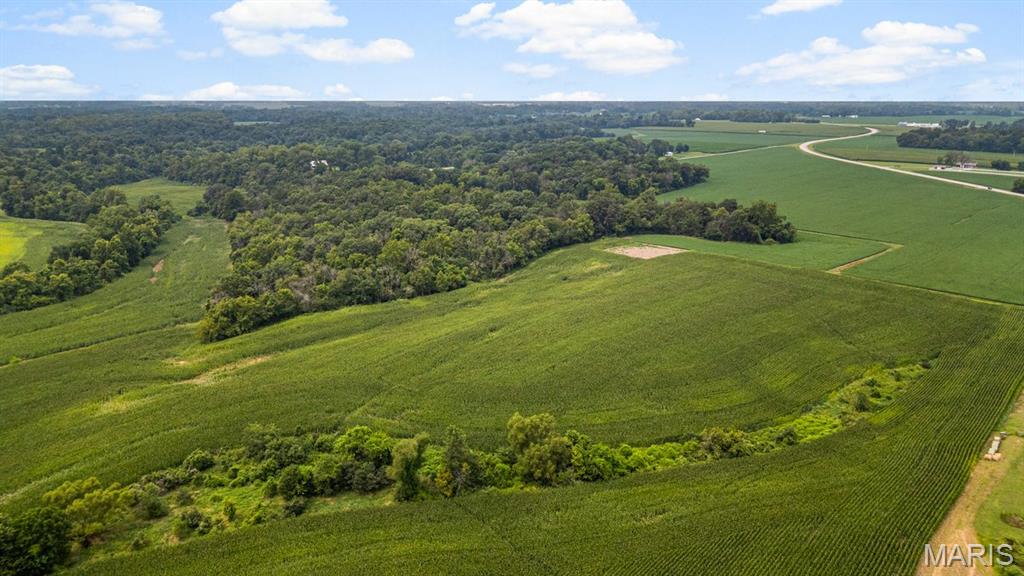 3rd image of 4145 Levy Ln, Millstadt, IL 62260 | MLS# MIS26048669
