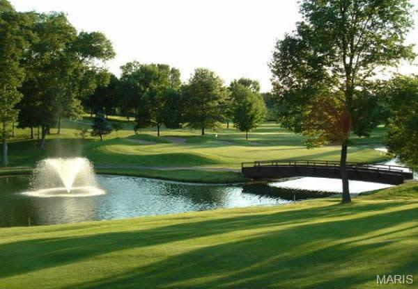 4th image of 220 Kerry Downs Dr, O'fallon, MO 63368 | MLS# MIS26049012