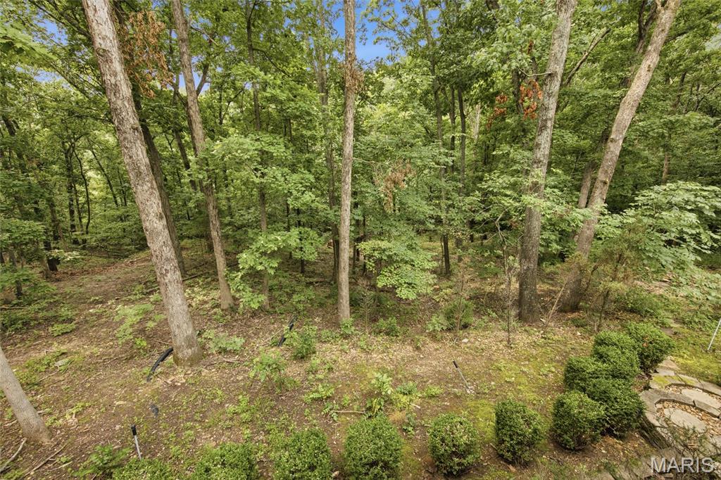 5th image of 19463 Babler Forest Rd, Wildwood, MO 63005 | MLS# MIS26049107