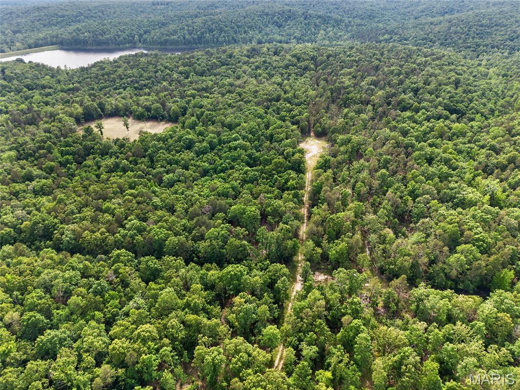 4th image of 001 Bb Hwy, Fairdealing, MO 63945 | MLS# MIS26049501