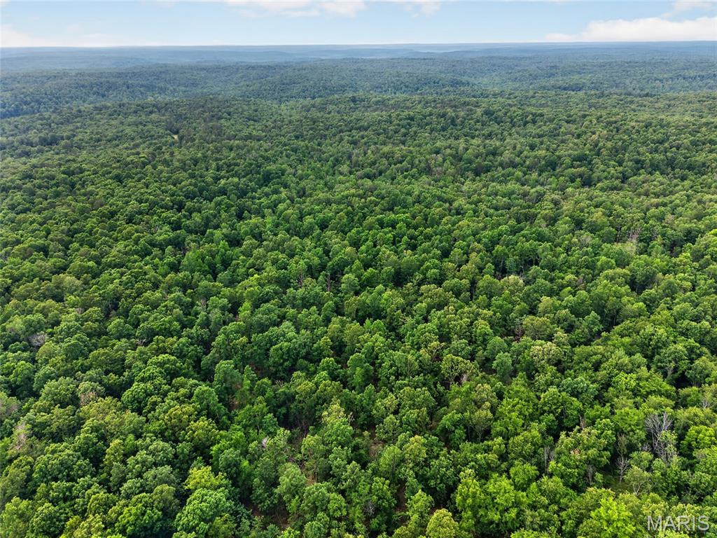 5th image of 001 Bb Hwy, Fairdealing, MO 63945 | MLS# MIS26049501