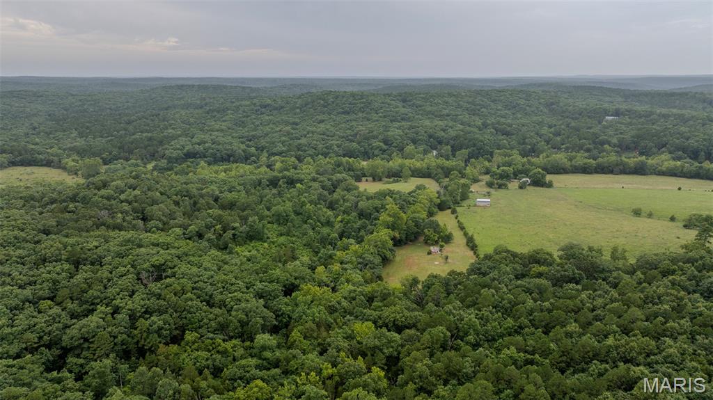 59th image of 11717 Harmon Rd, Potosi, MO 63664 | MLS# MIS26049568