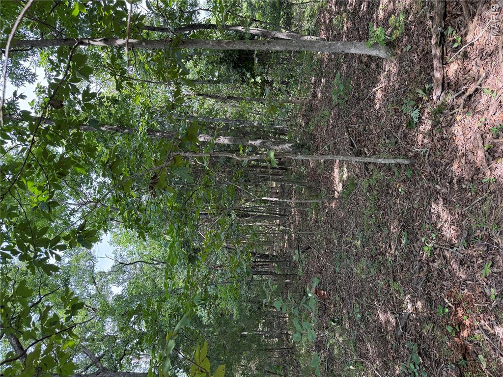 8th image of 0 E State Hwy E, Cadet, MO 63630 | MLS# MIS26049712