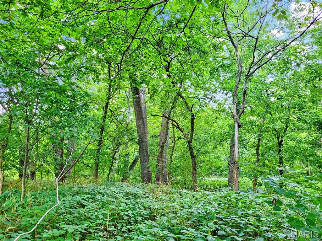 5th image of 225 Valley View (Lot 29) Dr, Hawk Point, MO 63349 | MLS# MIS26049813