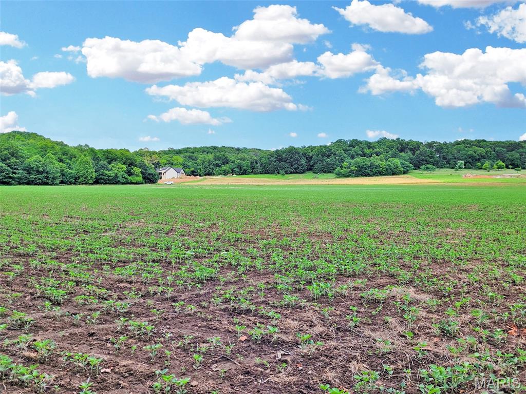 2nd image of 225 Valley View (lot 29) Dr, Hawk Point, MO 63349 | MLS# MIS26049813