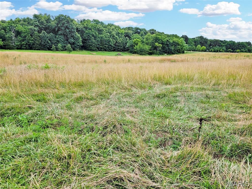 3rd image of 225 Valley View (Lot 29) Dr, Hawk Point, MO 63349 | MLS# MIS26049813