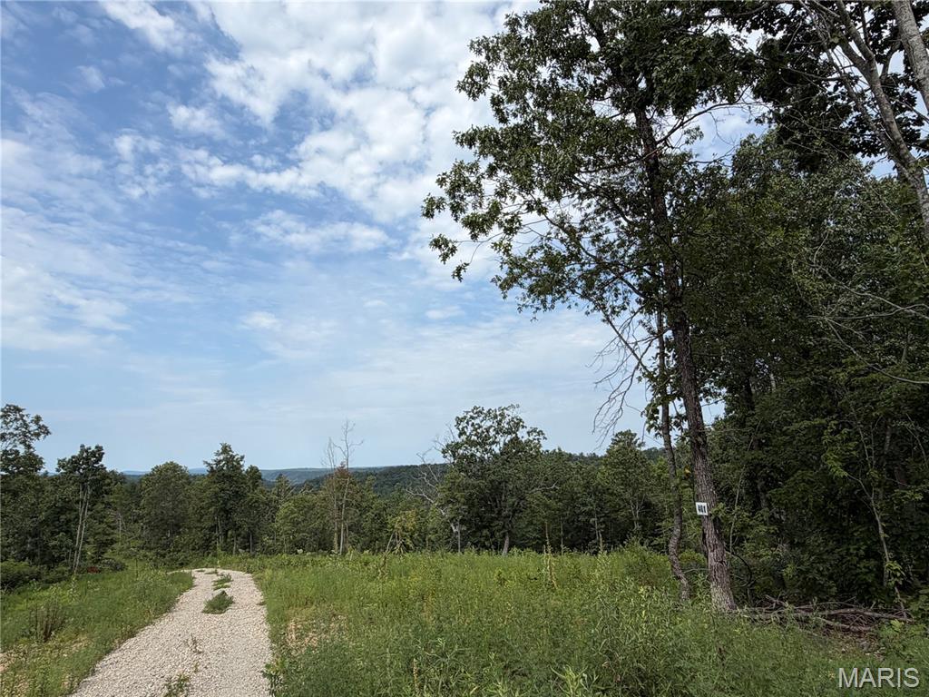 1st image of #401 Madison 410, Fredericktown, MO 63645 | MLS# MIS26049936