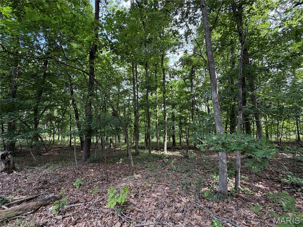 2nd image of #305 Madison 410, Fredericktown, MO 63645 | MLS# MIS26049941