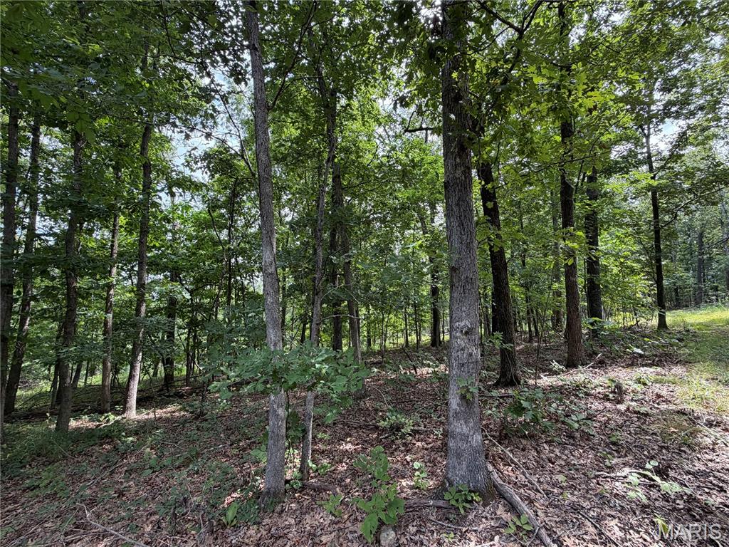 3rd image of #305 Madison 410, Fredericktown, MO 63645 | MLS# MIS26049941
