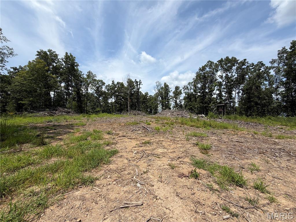 2nd image of #406 Madison 410, Fredericktown, MO 63645 | MLS# MIS26049947
