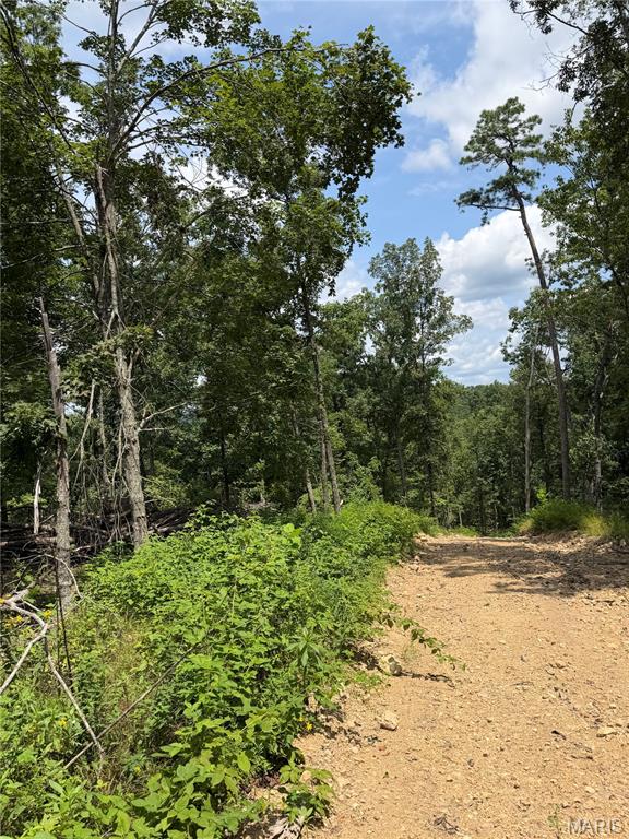 4th image of #406 Madison 410, Fredericktown, MO 63645 | MLS# MIS26049947