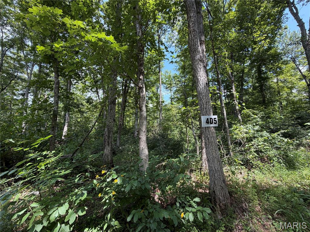 2nd image of #405 Madison 410, Fredericktown, MO 63645 | MLS# MIS26049984