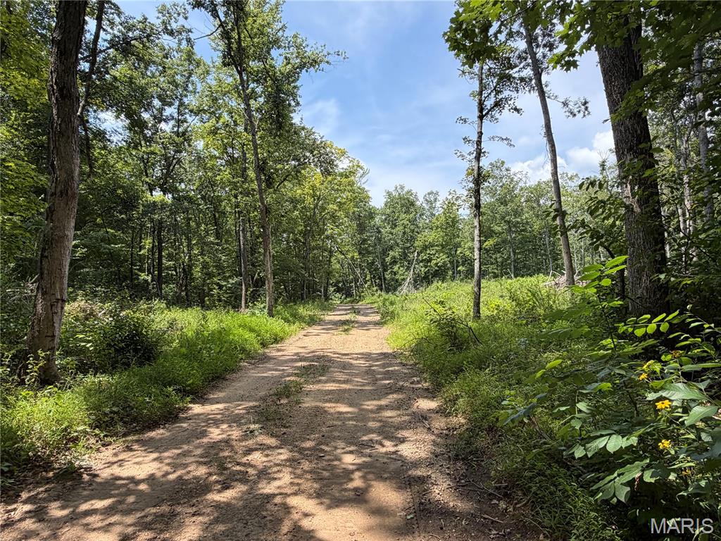 4th image of #405 Madison 410, Fredericktown, MO 63645 | MLS# MIS26049984