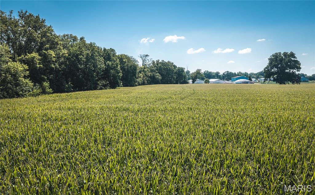 13th image of Lot C 1 Liberty Harbor Dr, Portage Des Sioux, MO 63373 | MLS# MIS26050042