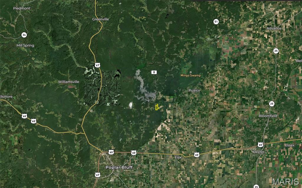 91st image of 175 County Road 513, Wappapello, MO 63966 | MLS# MIS26050133