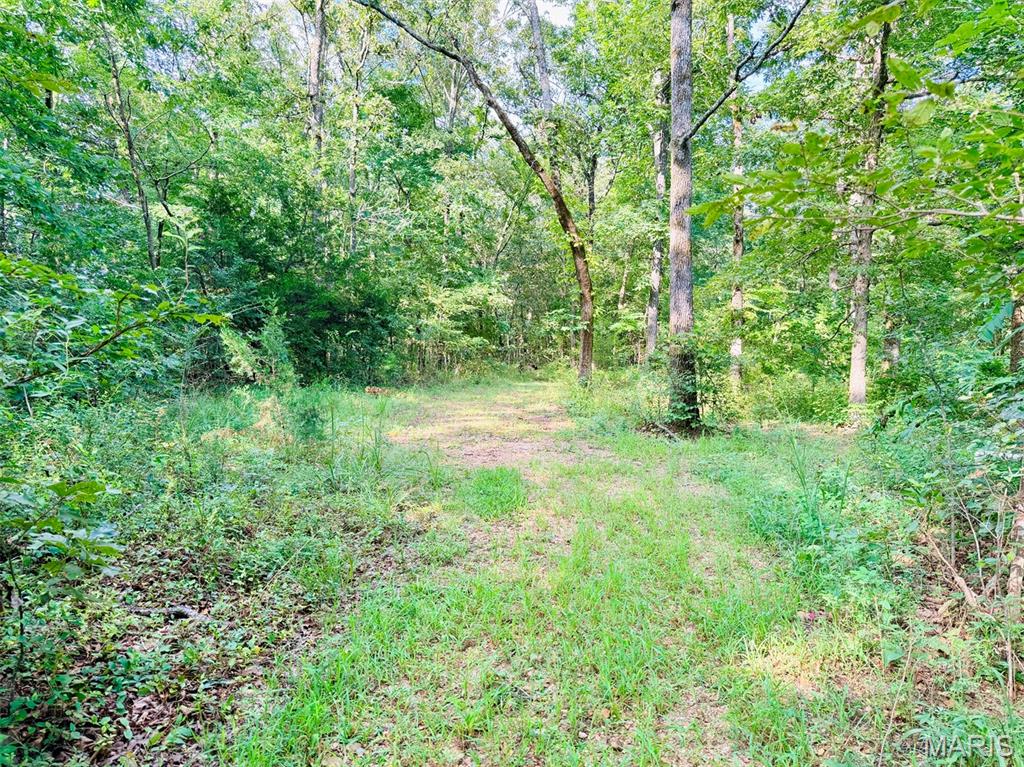 33rd image of 4396 State Hwy 21, Doniphan, MO 63935 | MLS# MIS26050256