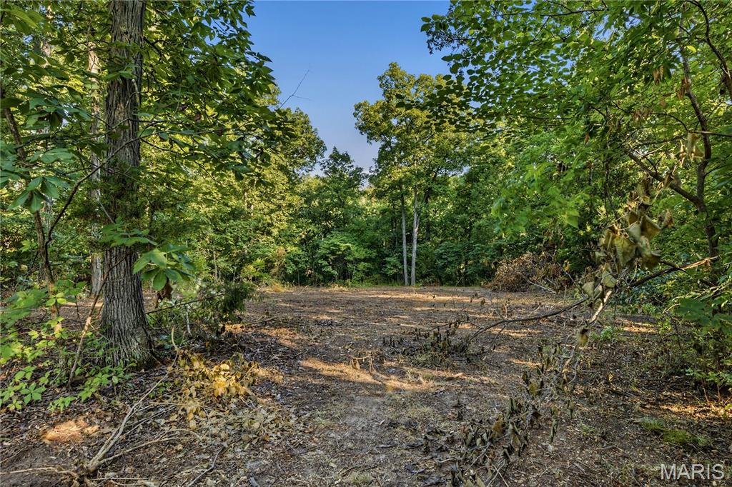 3rd image of 131 Mitchell Ct, Troy, MO 63379 | MLS# MIS26050318