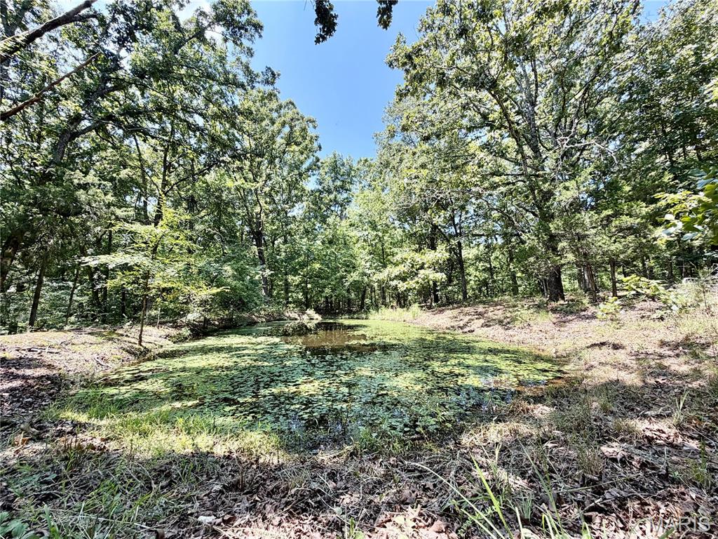 29th image of 19046 Us 160, Doniphan, MO 63935 | MLS# MIS26050836