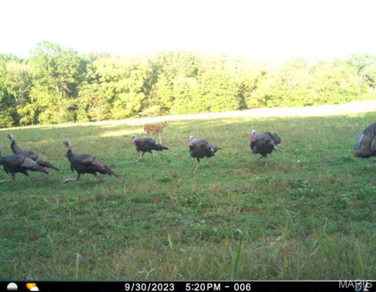 5th image of 00 Summit Rd, Hartville, MO 65667 | MLS# MIS26050839