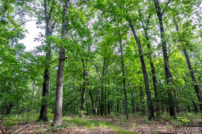 3rd image of 00 Summit Rd, Hartville, MO 65667 | MLS# MIS26050839