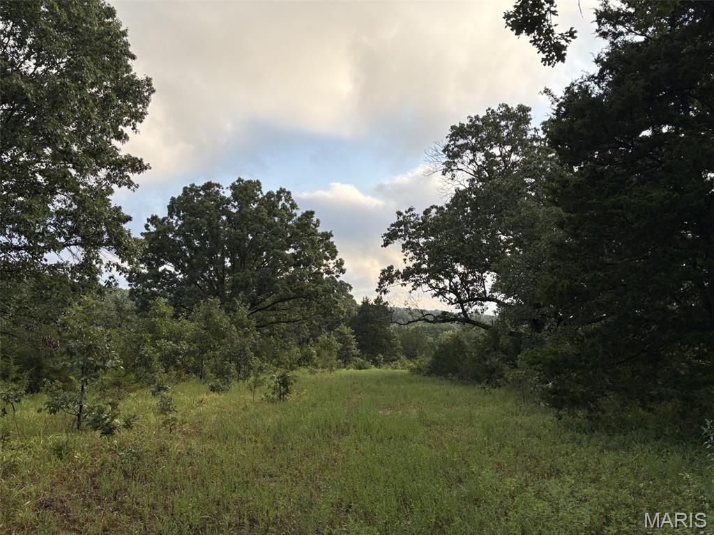 2nd image of 245+/  Acres Hwy 185, Sullivan, MO 63080 | MLS# MIS26050878
