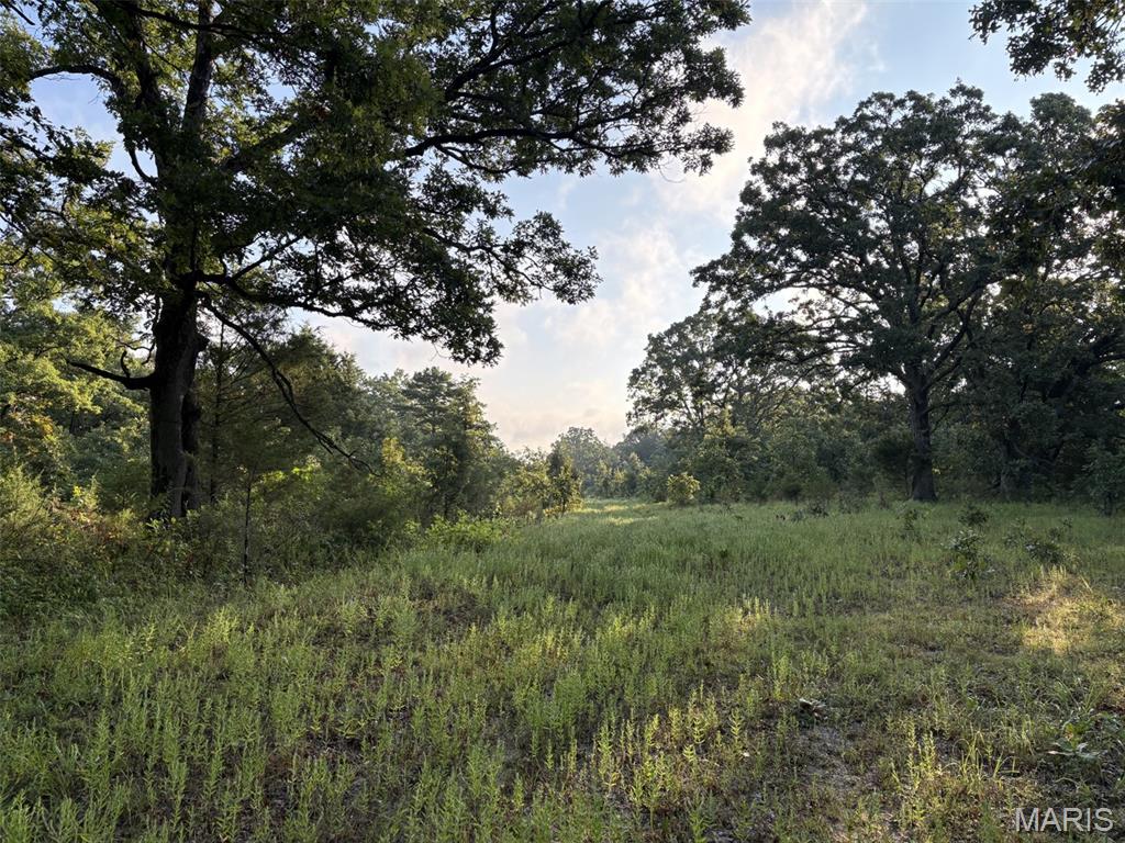5th image of 245+/- Acres Hwy 185, Sullivan, MO 63080 | MLS# MIS26050878