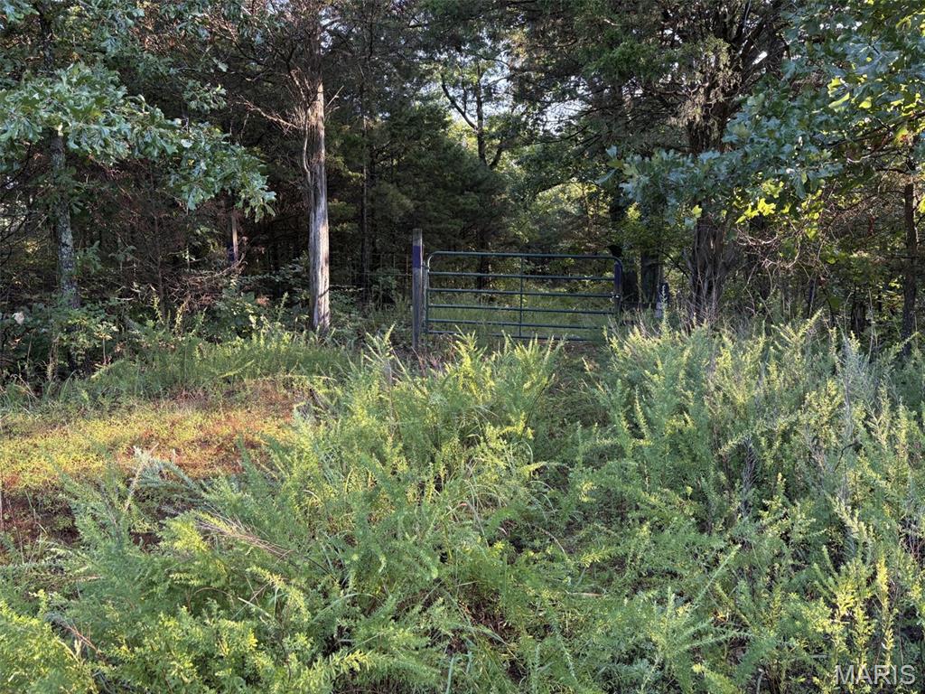 3rd image of 245+/- Acres Hwy 185, Sullivan, MO 63080 | MLS# MIS26050878