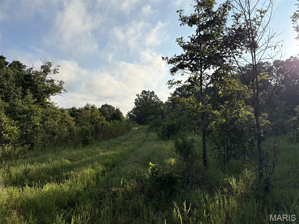 4th image of 245+/- Acres Hwy 185, Sullivan, MO 63080 | MLS# MIS26050878
