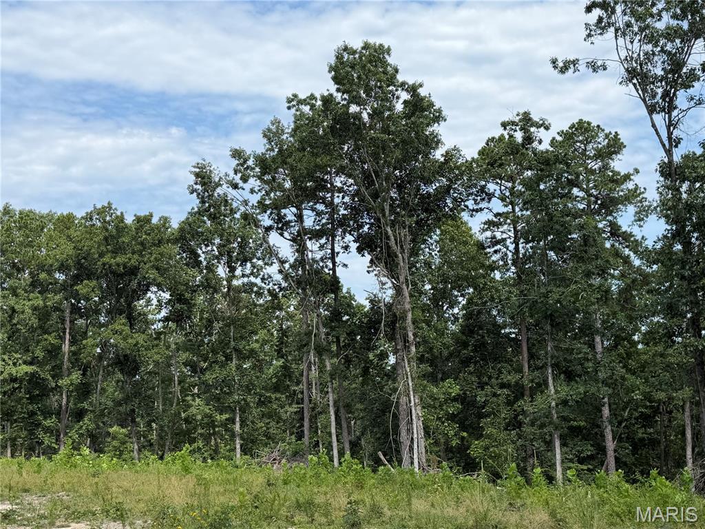 3rd image of #304 Madison 410, Fredericktown, MO 63645 | MLS# MIS26051135