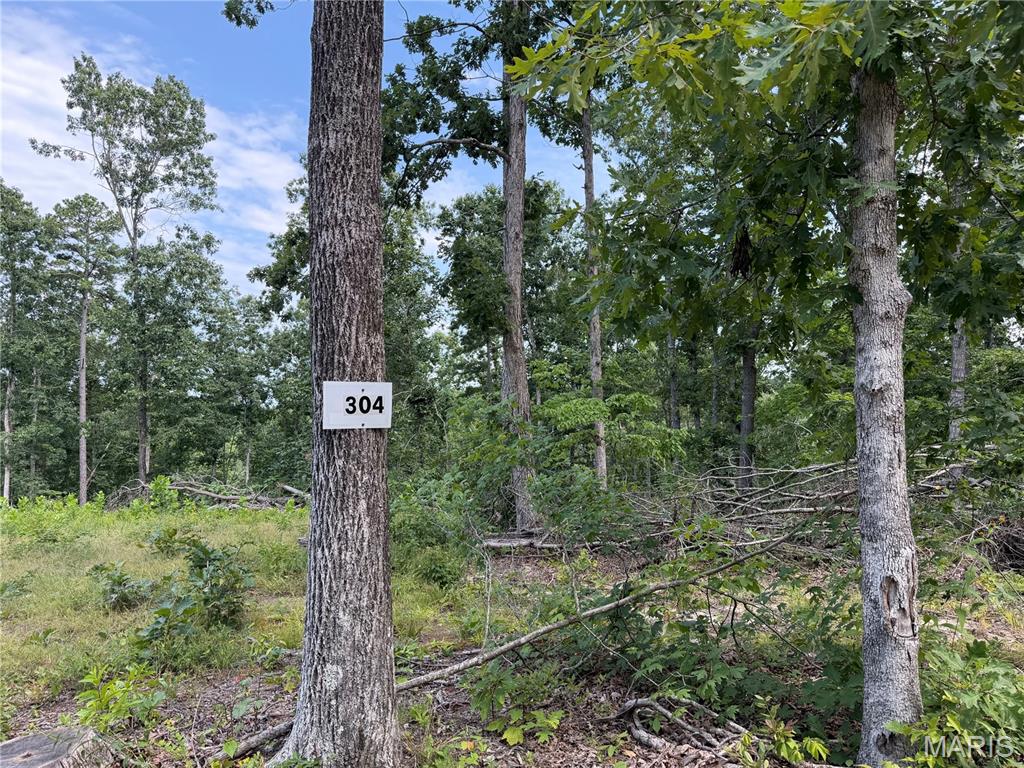 1st image of #304 Madison 410, Fredericktown, MO 63645 | MLS# MIS26051135