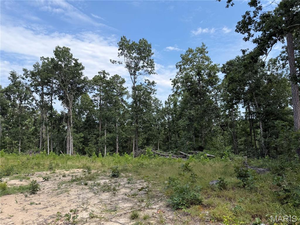 2nd image of #304 Madison 410, Fredericktown, MO 63645 | MLS# MIS26051135