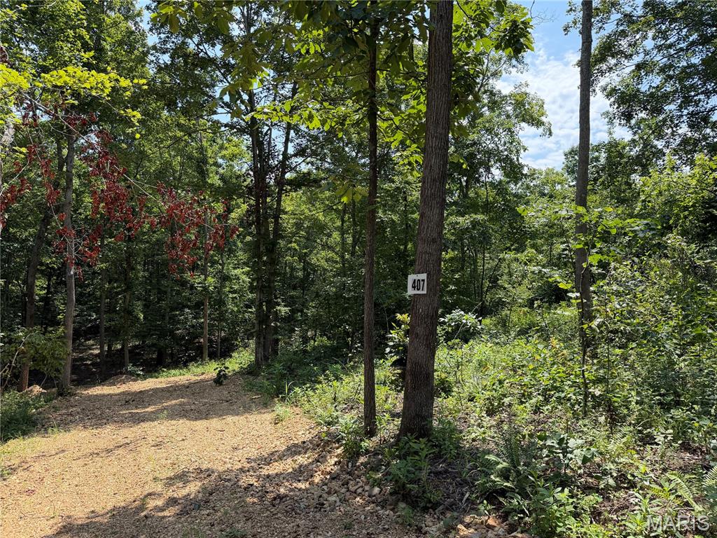 1st image of #407 Madison 410, Fredericktown, MO 63645 | MLS# MIS26051136