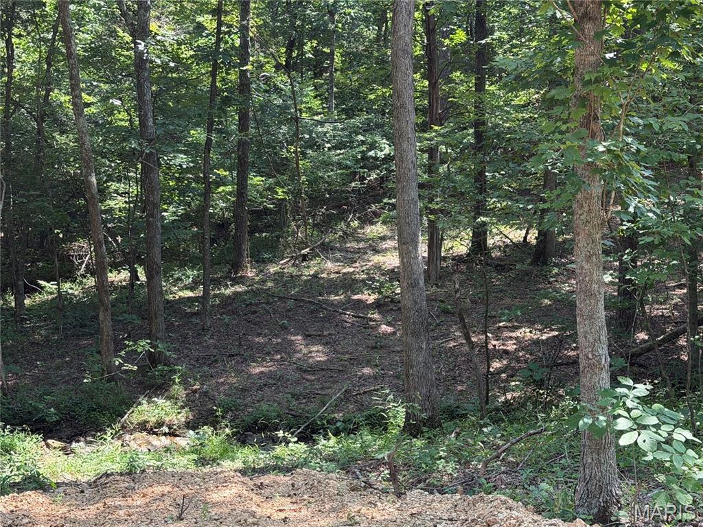 2nd image of #407 Madison 410, Fredericktown, MO 63645 | MLS# MIS26051136