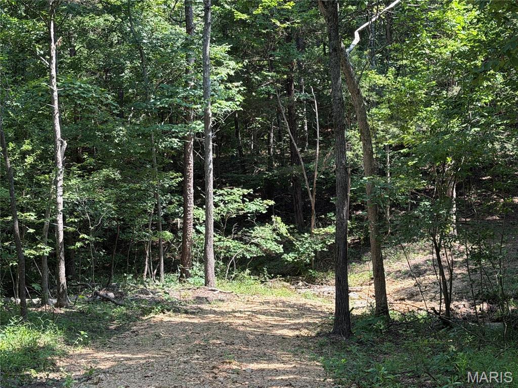 3rd image of #407 Madison 410, Fredericktown, MO 63645 | MLS# MIS26051136