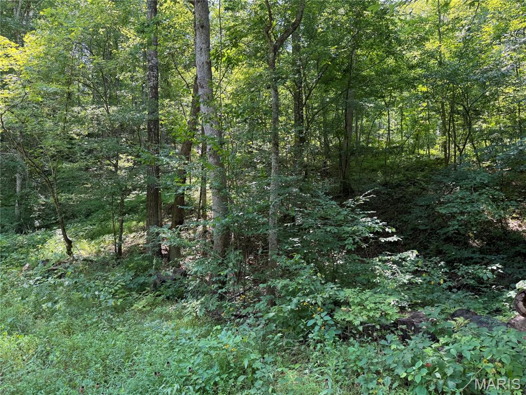 5th image of #403 Madison 410, Fredericktown, MO 63645 | MLS# MIS26051137