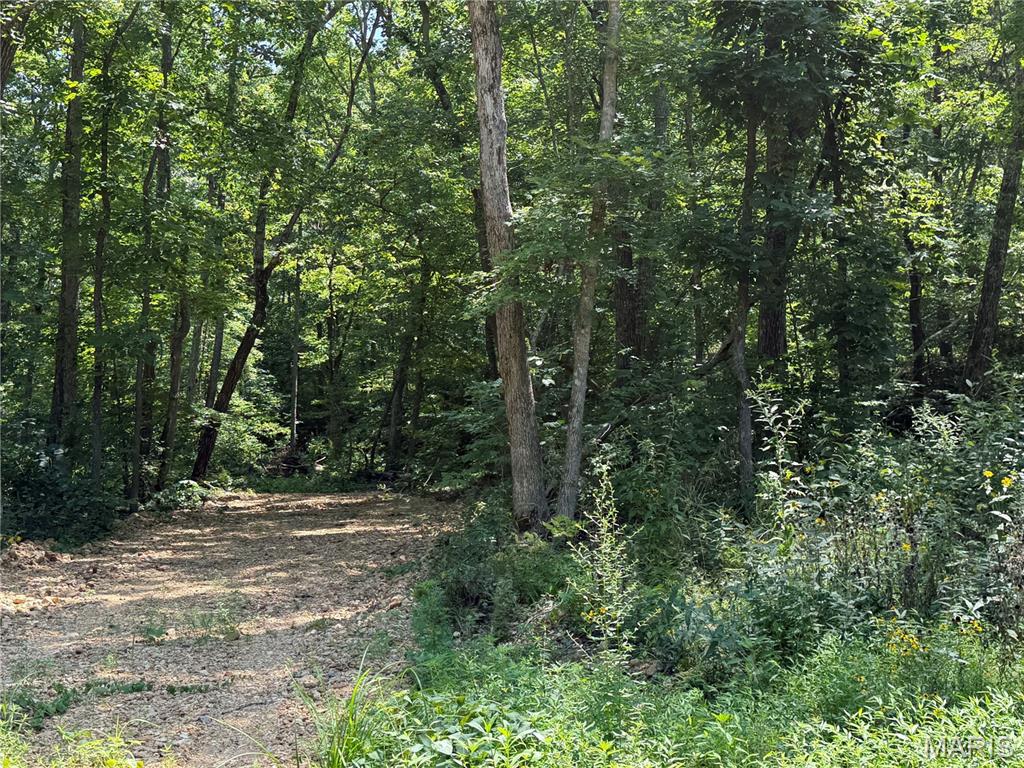 2nd image of #403 Madison 410, Fredericktown, MO 63645 | MLS# MIS26051137