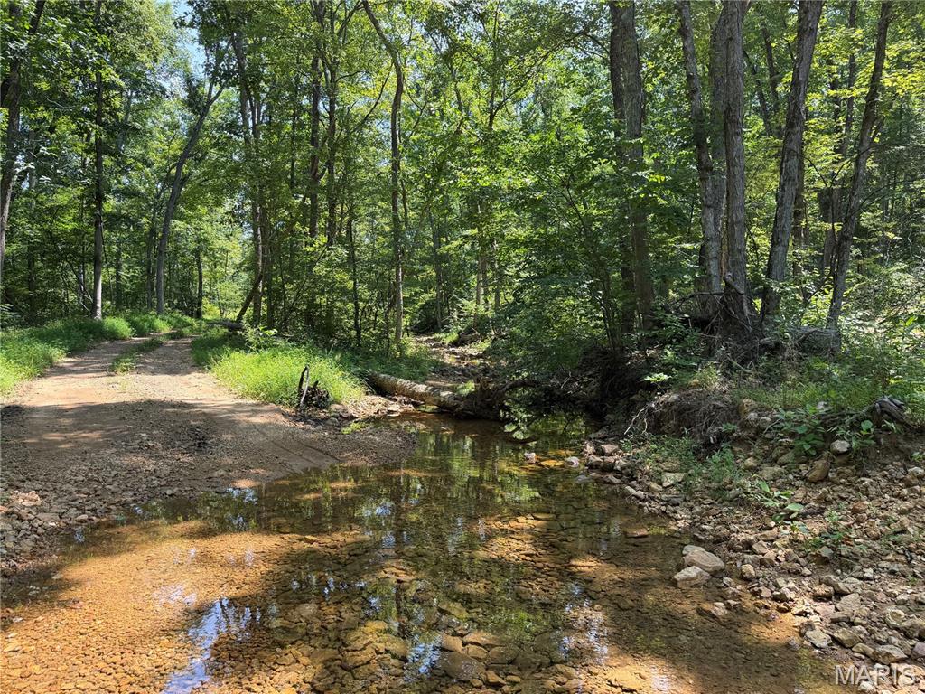 4th image of #402 Madison 410, Fredericktown, MO 63645 | MLS# MIS26051140