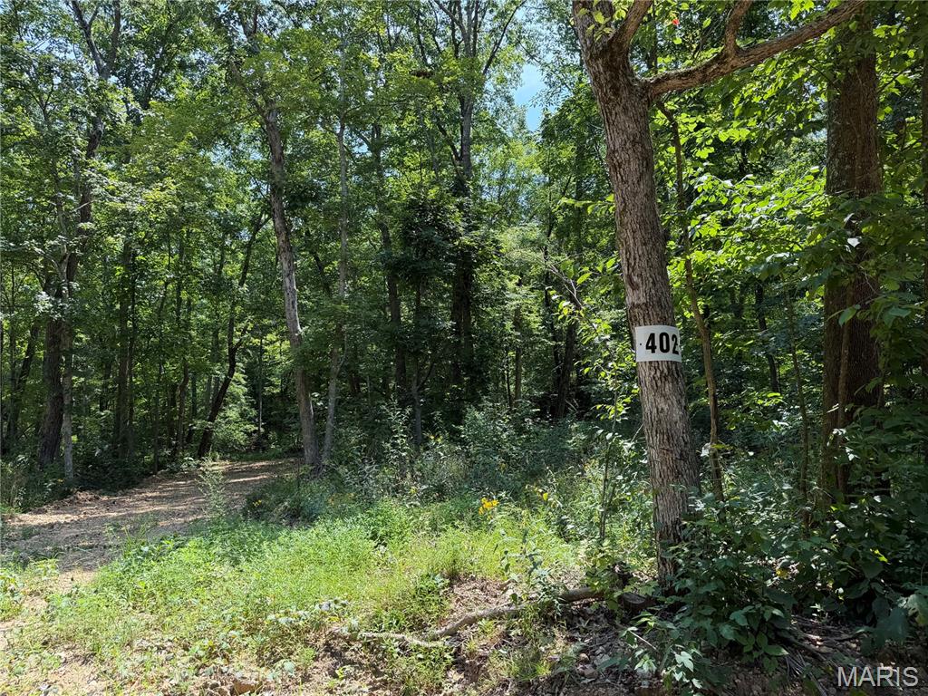 1st image of #402 Madison 410, Fredericktown, MO 63645 | MLS# MIS26051140