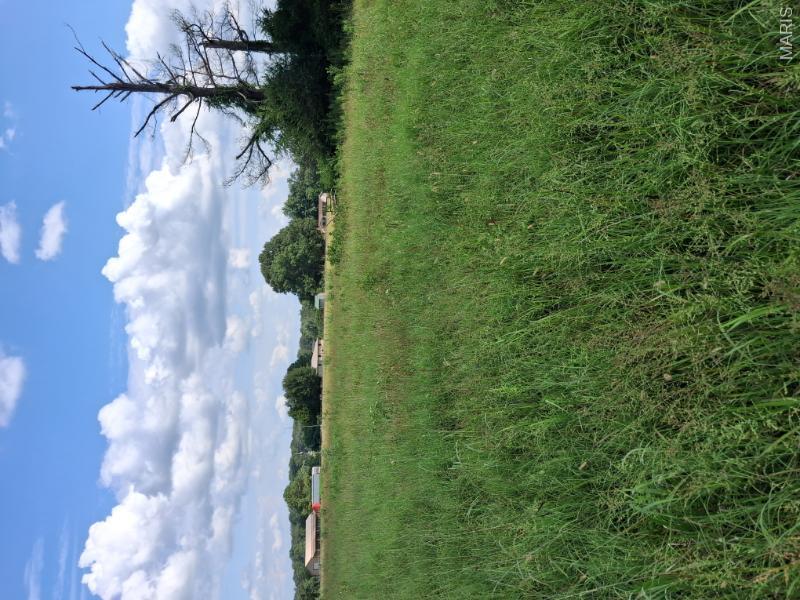 5th image of 60 Rainbow Trout Loop, Doniphan, MO 63935 | MLS# MIS26051382