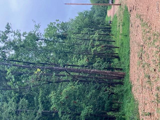 1st image of 73 Madison Cr 410, Fredericktown, MO 63645 | MLS# MIS26051445