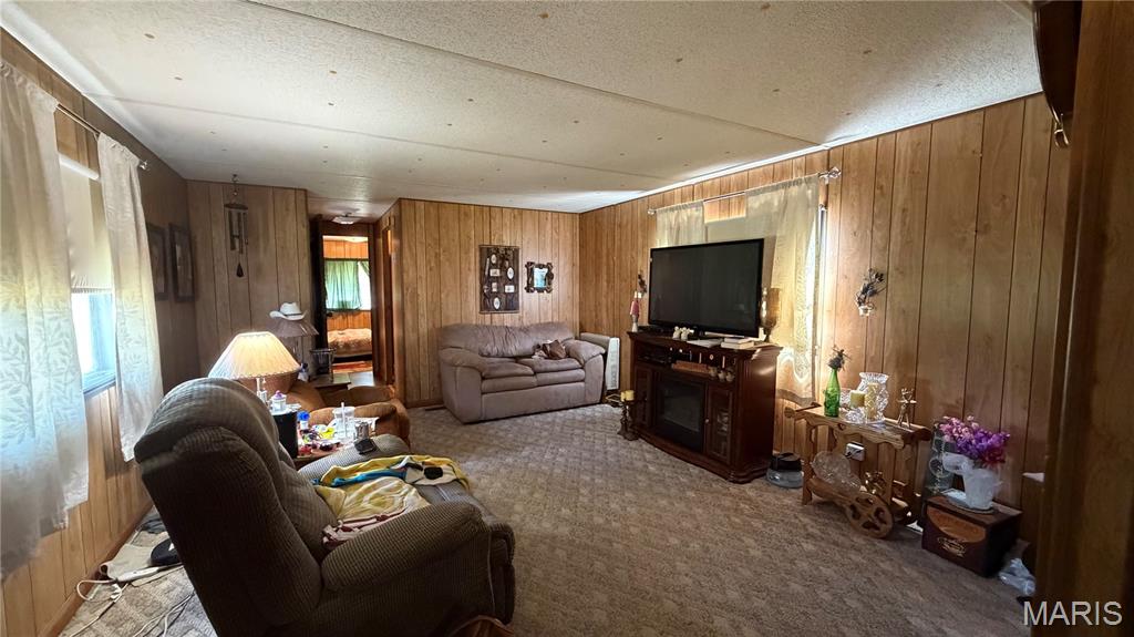 3rd image of 26 Ripley 160 E -32, Naylor, MO 63953 | MLS# MIS26051802