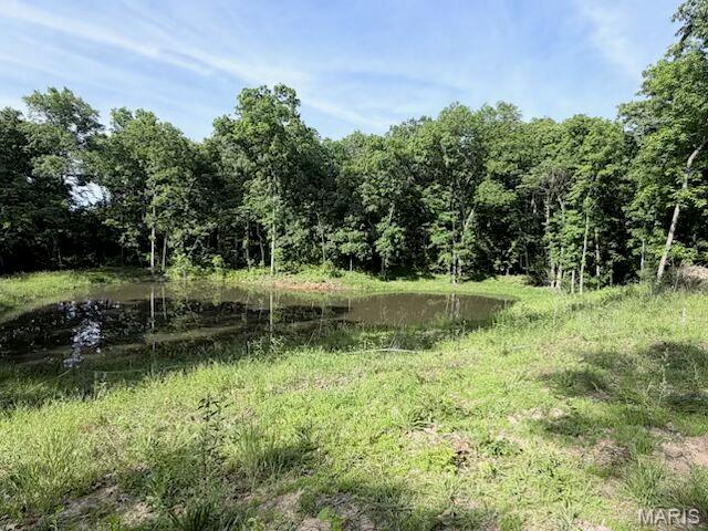 1st image of 16 Turning Leaf Ln, Foley, MO 63347 | MLS# MIS26051851
