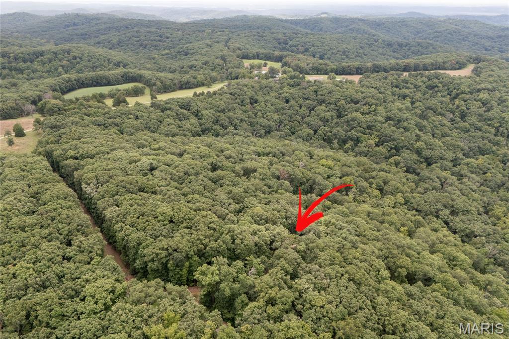 53rd image of 23210 Spring Branch Rd, Warrenton, MO 63383 | MLS# MIS26052244