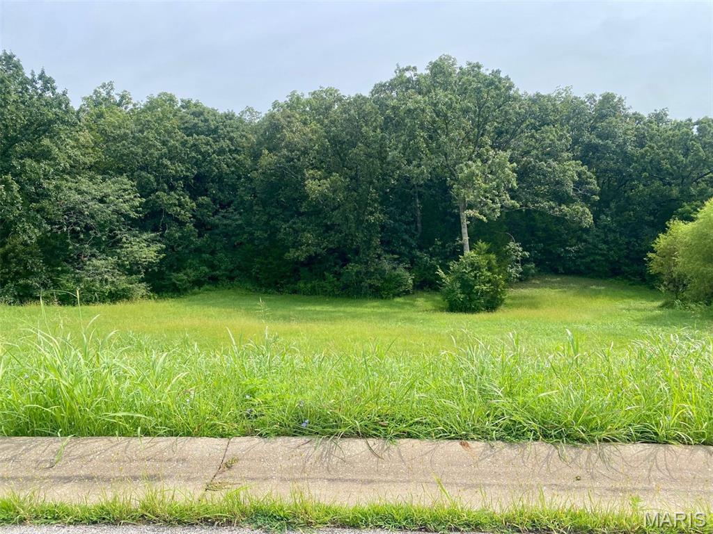 1st image of 132 Rainbow Lake Dr, Villa Ridge, MO 63089 | MLS# MIS26052410