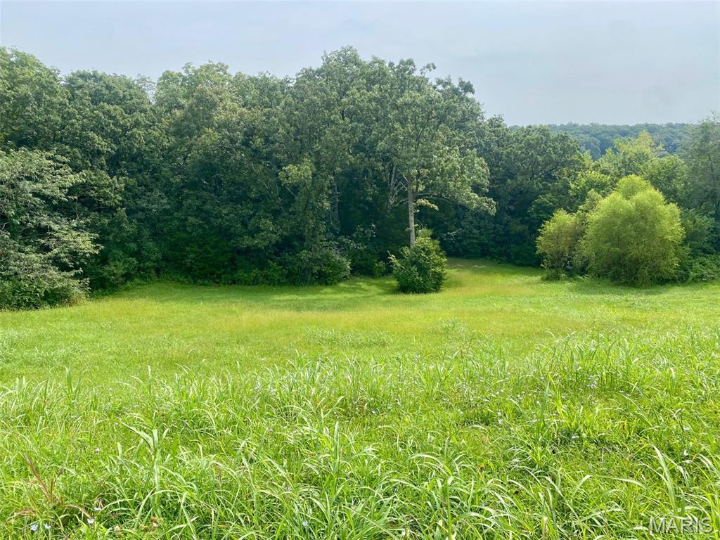 3rd image of 132 Rainbow Lake Dr, Villa Ridge, MO 63089 | MLS# MIS26052410