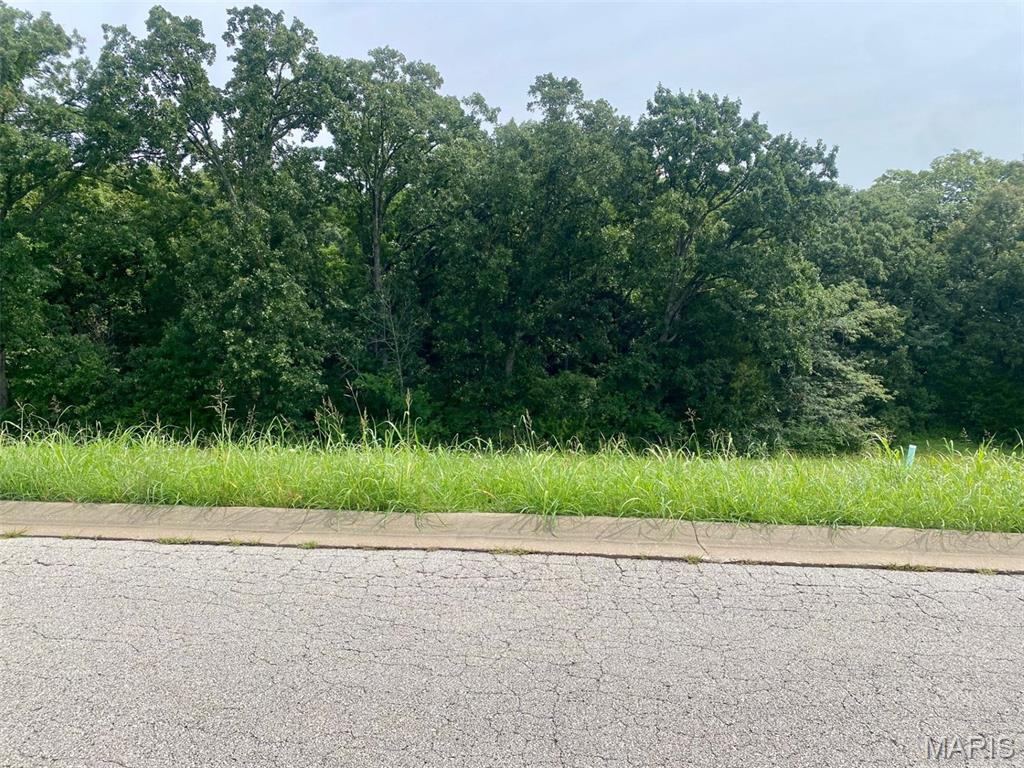 5th image of 132 Rainbow Lake Dr, Villa Ridge, MO 63089 | MLS# MIS26052410